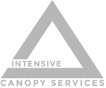 intensive-canopy-kl